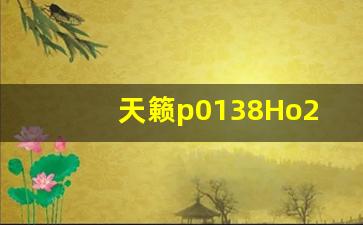 天籁p0138Ho2s2 B1